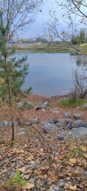 На рыбалку
