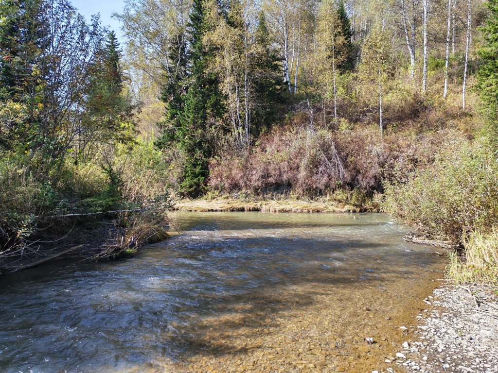 Красота Салаирского кряжа