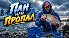Холодно, ветрено, но клюёт: моя трудовая сессия на матче🥶🤯🎣😎