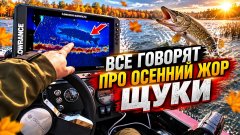 Все говорят про осенний жор щуки. А он вообще есть?