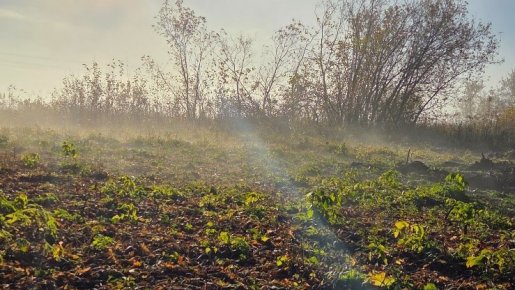 Порыбачил с душой