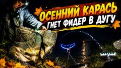 Осенний карась гнёт фидер в дугу! Дикие поклёвки. Рыбалка ночью на реке.