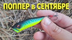 Щука на попперы осенью: некрупная, но злая!