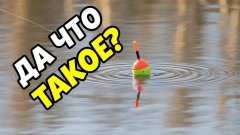 Рыбалка осенью на живца! Щука на поплавочную удочку