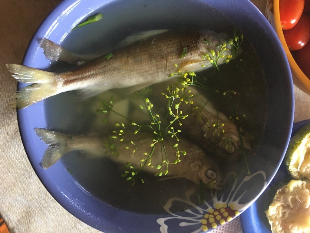 Рыбацкая гастрономия на Ауловском плёсе.