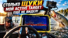 Столько подъёмов щуки мой Active Target ещё не видел! Нарвались на жор