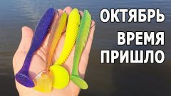 Октябрь жжет! ТОП-5 крупных виброхвостов на щуку - проводки, нюансы и мощные поклёвки!