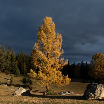 Осень