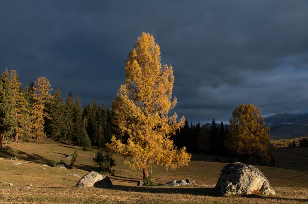 Осень