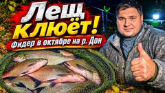 Рыбалка в октябре на фидер на реке Дон осенью. Лещ, Дождь и клёв до полуночи.