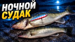 Судак был у нас под носом! Ночная рыбалка на Волге