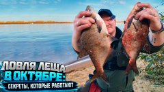 Моя рабочая насадка в октябре на леща. Секреты октябрьского леща: тактика, наживка, точки