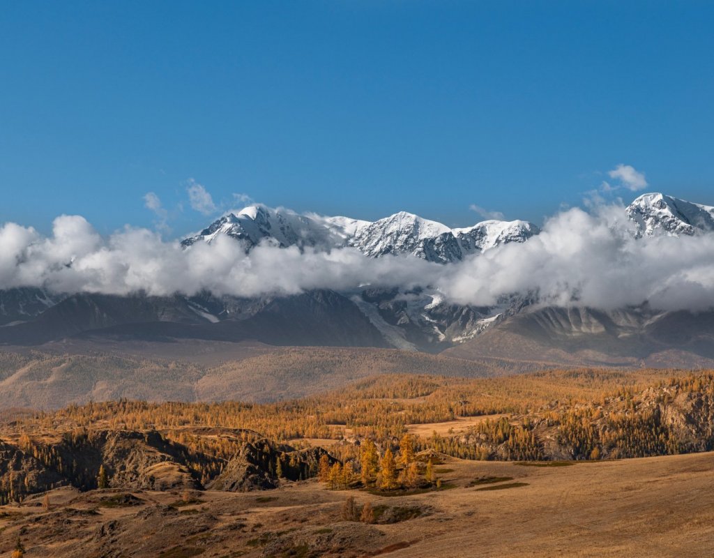 Алтай