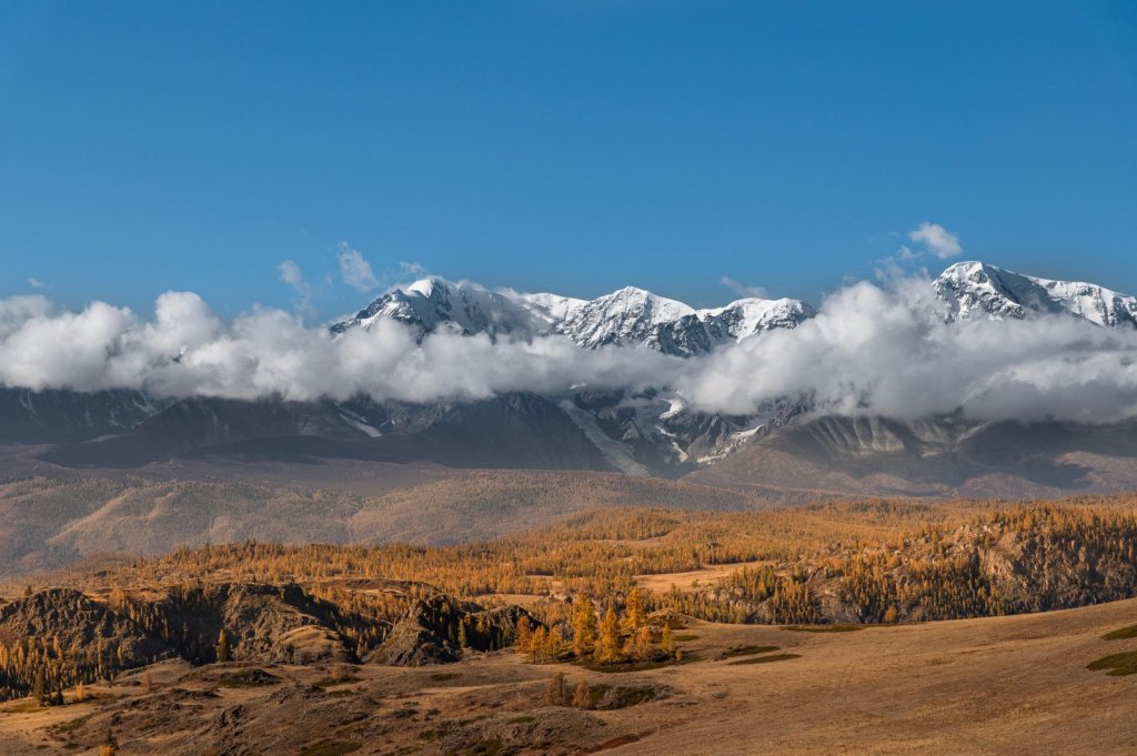 Алтай