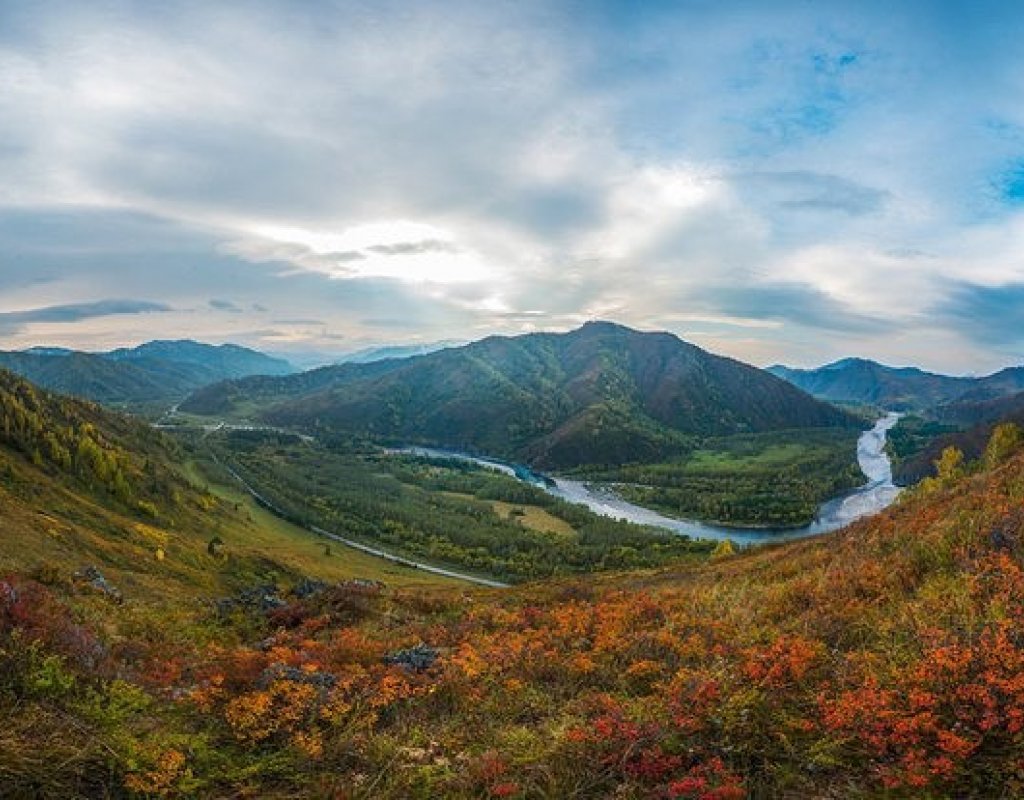 река Чарыш