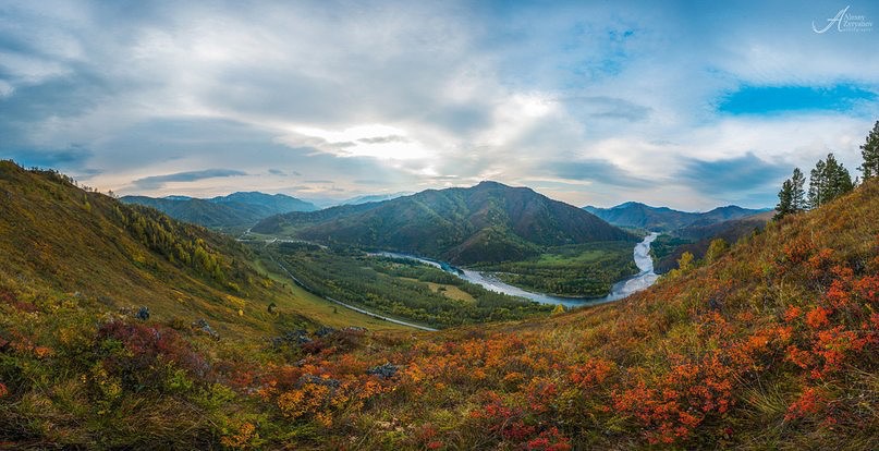 река Чарыш