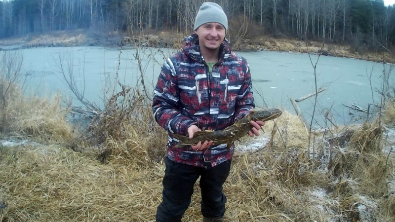 Поймал щуку