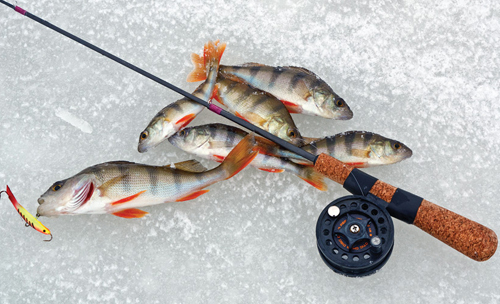 Самодельные удочки для зимней рыбалки в различных вариантах