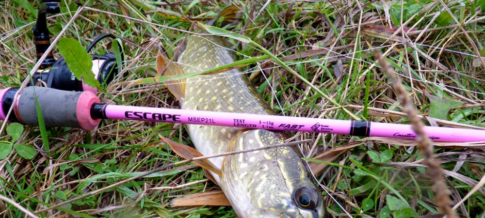 Спиннинг Maximus Escape MSEP21L 