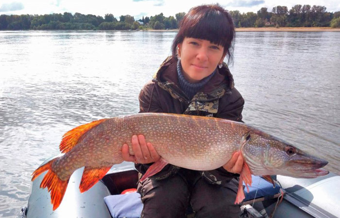 Поймала щуку