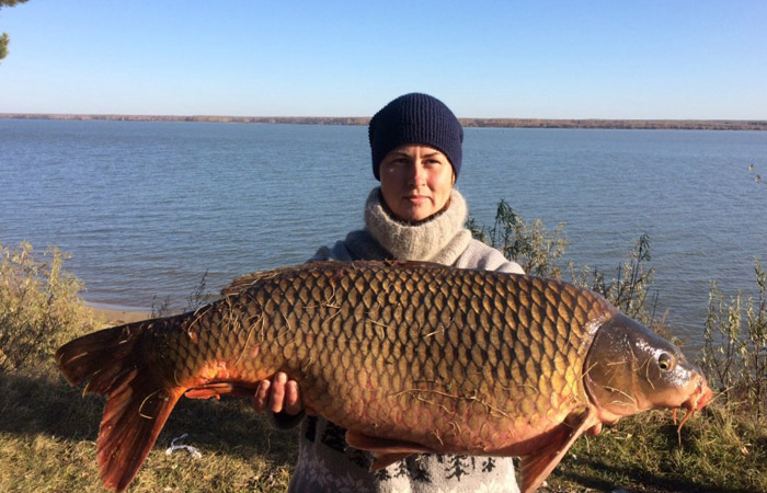 Поймала сазана