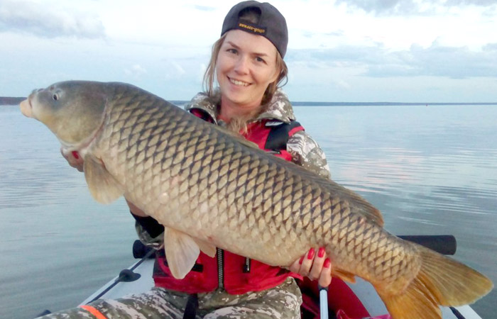 Поймала огромного сазана