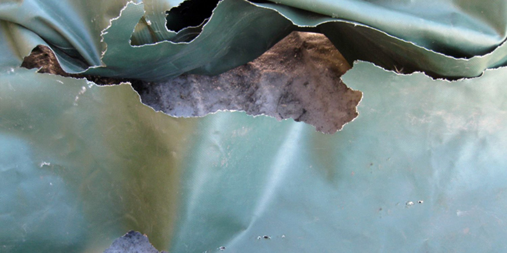 ПВХ лодку погрызли