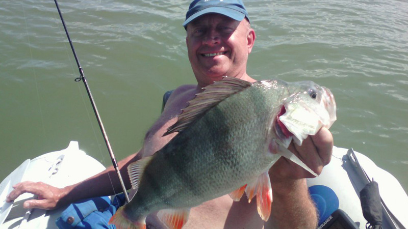 трофейный окунь