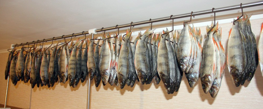 Как правильно сушить рыбу в домашних условиях?