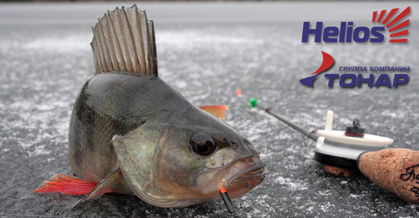 окунь на мормышку