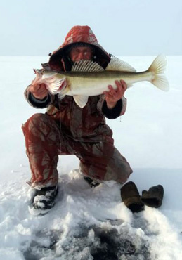 поймал судака