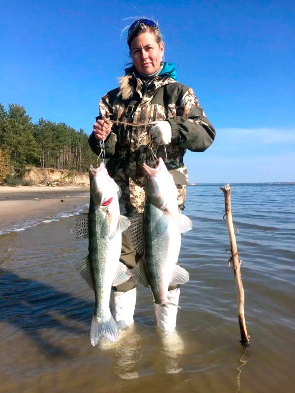 Крупные судаки пойманные на Обском море 2 призер фотоконкурса