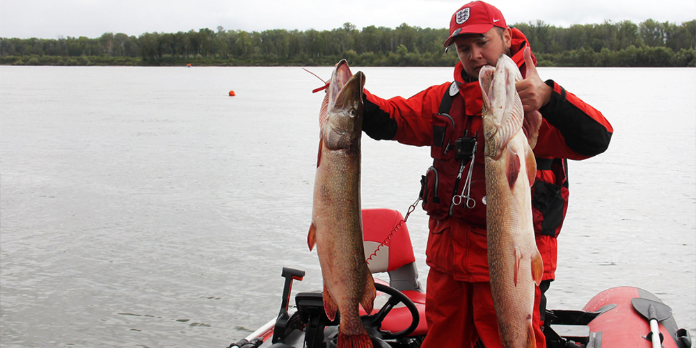 Трофейные щуки на Зарубе 2018 Трофеи