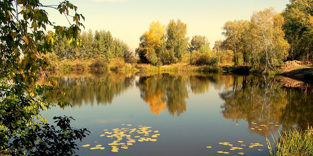 Озеро Глухое в Новосибирске