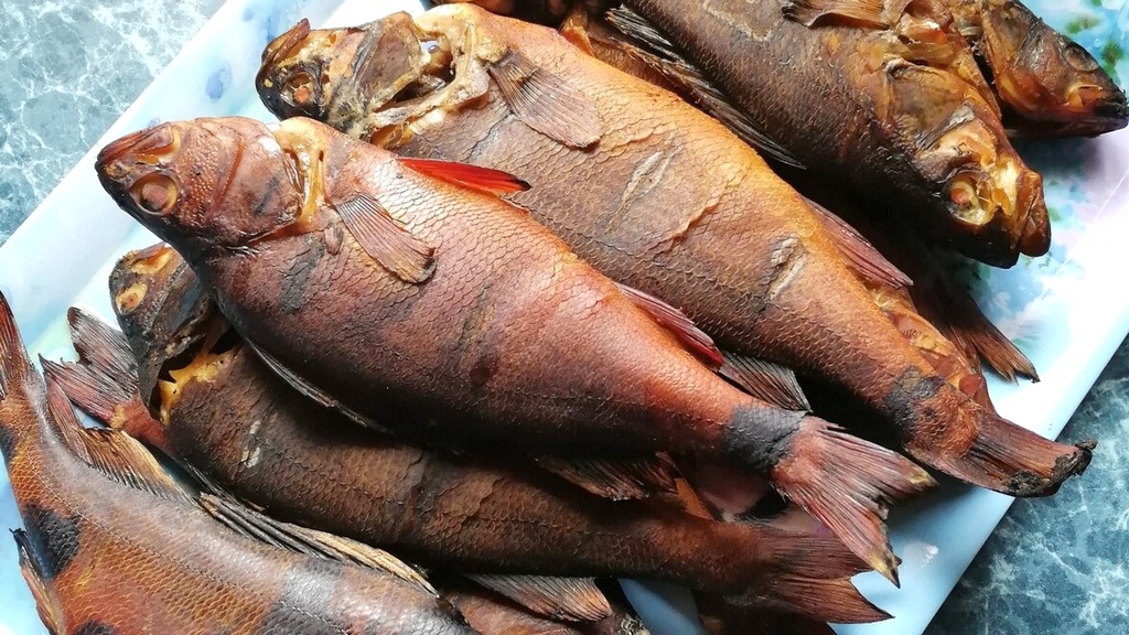 Какая рыба подходит для готовки в коптильне горячего копчения | Рецепты и интересные статьи от УЗБИ