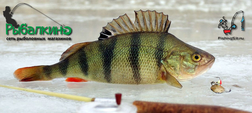 Зимняя рыбалка