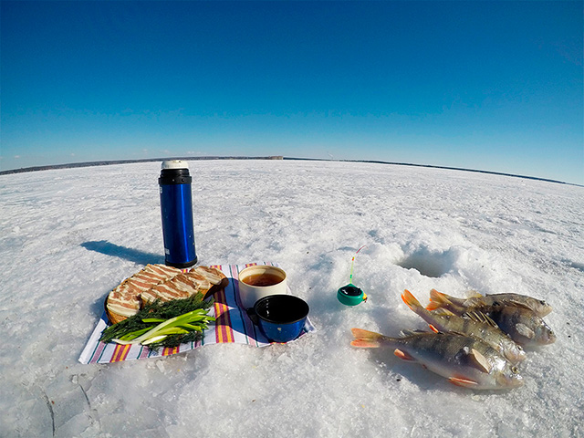 Рыбацкий перекус 2018