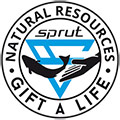Логотип проекта Подари жизнь