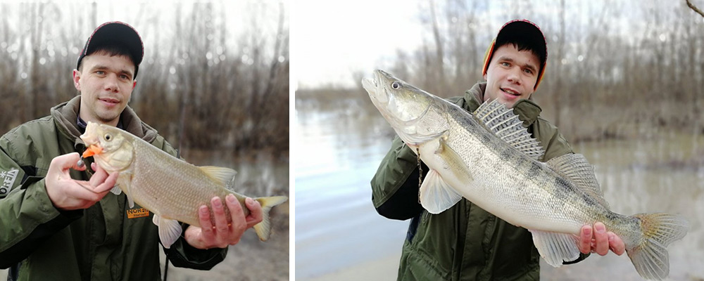 Рыбалка весной на судака