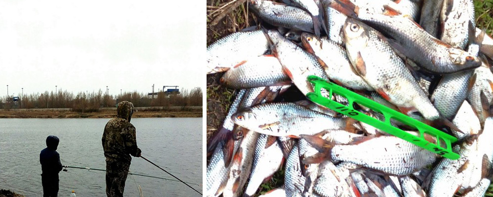 Ловля белой рыбы