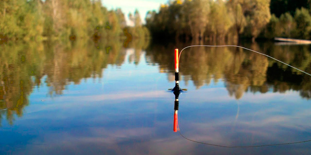 Рыбалка в июне 2018