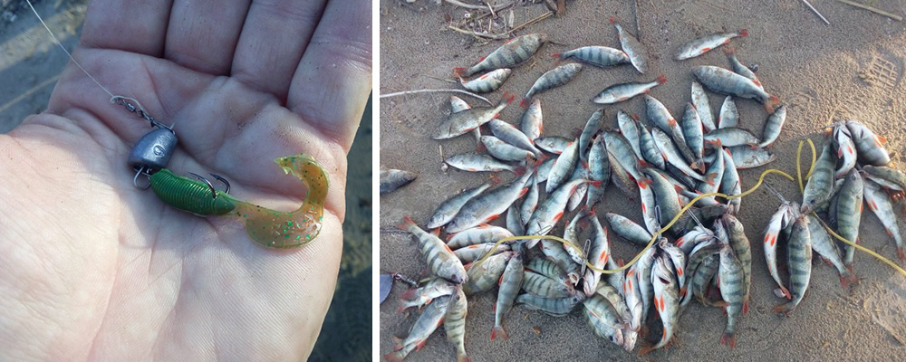 Окунь на джиг