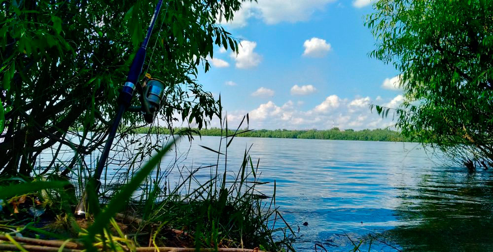 Рыбалка на природе