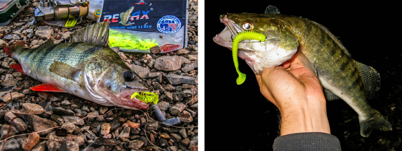 хищники на силиконовые приманки