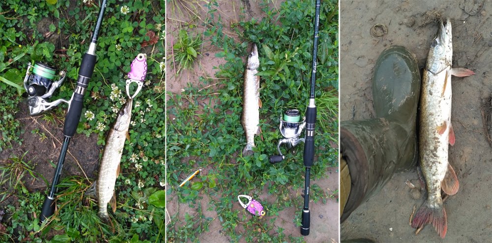 Поймал щуку на спиннинг Norstream Rebel 662ML Norstream Rebel 662ML