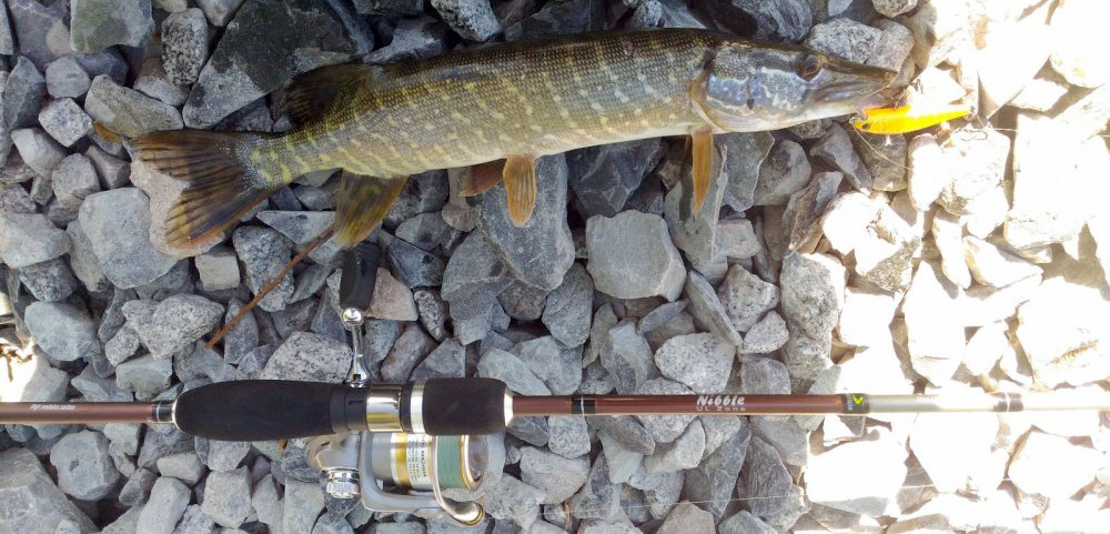 Как выглядит спиннинг Norstream Nibble NBS-662UL Norstream Nibble NBS-662UL