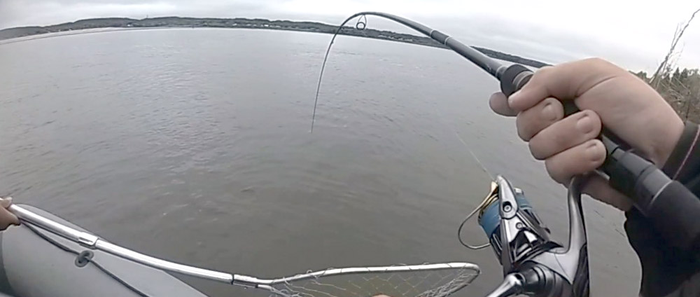 Zetrix Exilon EXS-802H