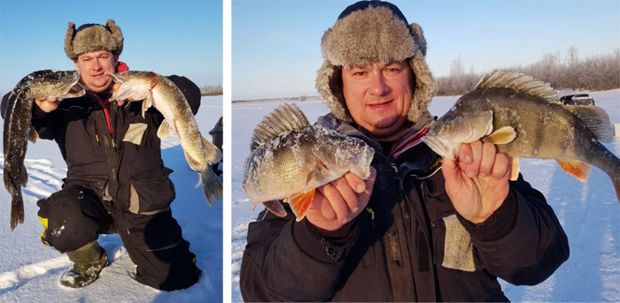 щуки на рыбалке 