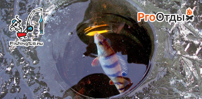 зимняя рыбалка