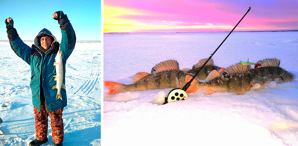 Призовые работы